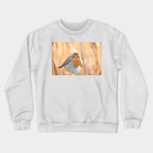 Robin in golden light Crewneck Sweatshirt